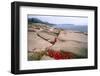 Otter Point, Acadia National Park, Maine-George Oze-Framed Photographic Print