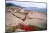 Otter Point, Acadia National Park, Maine-George Oze-Mounted Photographic Print