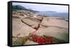 Otter Point, Acadia National Park, Maine-George Oze-Framed Stretched Canvas