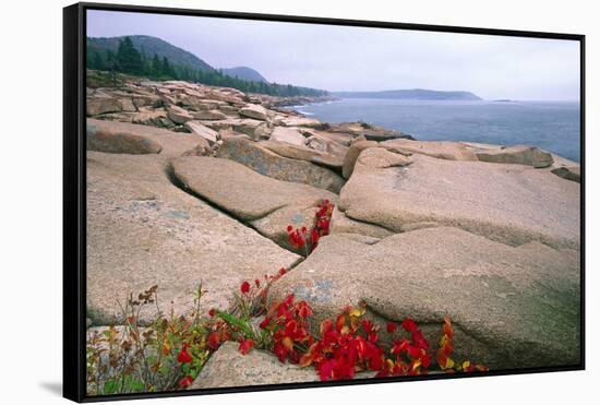 Otter Point, Acadia National Park, Maine-George Oze-Framed Stretched Canvas