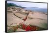 Otter Point, Acadia National Park, Maine-George Oze-Framed Stretched Canvas