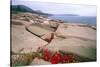 Otter Point, Acadia National Park, Maine-George Oze-Stretched Canvas