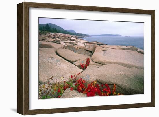 Otter Point, Acadia National Park, Maine-George Oze-Framed Photographic Print