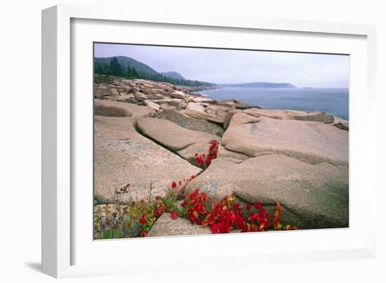 Otter Point, Acadia National Park, Maine-George Oze-Framed Photographic Print