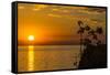 Otter Point at Sunset, Cape Maclear, Lake Malawi, Malawi, Africa-Michael Runkel-Framed Stretched Canvas