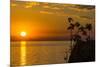 Otter Point at Sunset, Cape Maclear, Lake Malawi, Malawi, Africa-Michael Runkel-Mounted Photographic Print