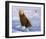 Otter Sketch-Chris Vest-Framed Art Print