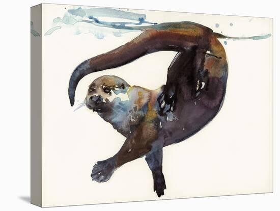 Otter Study II -'Talisker'-Mark Adlington-Stretched Canvas