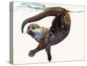 Otter Study II -'Talisker'-Mark Adlington-Stretched Canvas