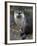 Otter - The Cutest European Mammal-l i g h t p o e t-Framed Photographic Print