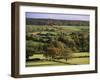 Otter Valley in Autumn, Devon, England, United Kingdom-John Miller-Framed Photographic Print