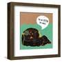 Otter-Abigail Gartland-Framed Art Print