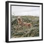 Otter-null-Framed Photographic Print