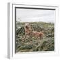 Otter-null-Framed Photographic Print