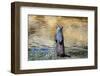 Otter-Reiner Bernhardt-Framed Photographic Print