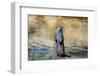 Otter-Reiner Bernhardt-Framed Photographic Print