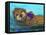 Otter-Karrie Evenson-Framed Stretched Canvas