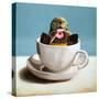 Otterly Delicious-Lucia Heffernan-Stretched Canvas