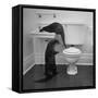 Otters Playing in Bathroom-Wallace Kirkland-Framed Stretched Canvas