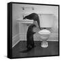 Otters Playing in Bathroom-Wallace Kirkland-Framed Stretched Canvas