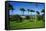 Ottleys Plantation Inn, St. Kitts, St. Kitts and Nevis-Robert Harding-Framed Stretched Canvas