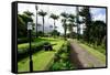 Ottleys Plantation Inn, St. Kitts, St. Kitts and Nevis-Robert Harding-Framed Stretched Canvas