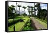 Ottleys Plantation Inn, St. Kitts, St. Kitts and Nevis-Robert Harding-Framed Stretched Canvas