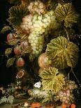 Still Life of Grapes and Vines, 1666-Ottmar the Elder Elliger-Framed Stretched Canvas