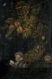 Still Life of Grapes and Vines, 1666-Ottmar the Elder Elliger-Framed Stretched Canvas