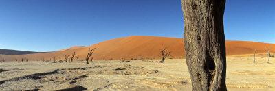 Dead Vlei Salt Pan, Sossusvlei, Namibia-Otto Bathurst-Framed Photographic Print