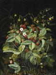 Wild Strawberries-Otto Diderich Ottesen-Stretched Canvas