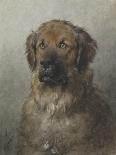 Head of a Newfoundland Dog, C. 1860-1920-Otto Eerelman-Art Print