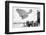 Otto Lilienthal's Glider, 19th Century-Science Photo Library-Framed Photographic Print