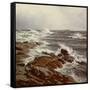 Canvas Black