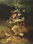 The Burdock Bush-Otto Marseus Van Schrieck-Stretched Canvas