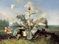 The Burdock Bush-Otto Marseus Van Schrieck-Mounted Giclee Print