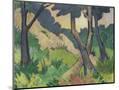 Wood Mount