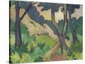 Stretched Canvas
