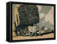 Framed Canvas