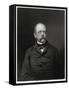 Otto Von Bismarck, German Statesman, 19th Century-W Holl-Framed Stretched Canvas