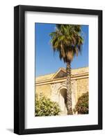 Ottoman Monumental Gate, La Goulette, Tunisia, North Africa-Nico Tondini-Framed Photographic Print