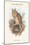 Otus Vulgaris - Long-Eared Owl-John Gould-Mounted Art Print