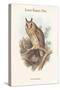 Otus Vulgaris - Long-Eared Owl-John Gould-Stretched Canvas