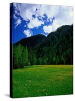 Otztal-Otz Valley, Tyrol, Austria-Walter Bibikow-Stretched Canvas