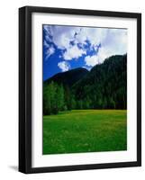 Otztal-Otz Valley, Tyrol, Austria-Walter Bibikow-Framed Photographic Print