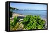 Oualie Beach, Nevis, St. Kitts and Nevis, Leeward Islands, West Indies, Caribbean, Central America-Robert Harding-Framed Stretched Canvas