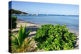 Oualie Beach, Nevis, St. Kitts and Nevis, Leeward Islands, West Indies, Caribbean, Central America-Robert Harding-Stretched Canvas