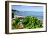 Oualie Beach, Nevis, St. Kitts and Nevis, Leeward Islands, West Indies, Caribbean, Central America-Robert Harding-Framed Photographic Print