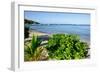 Oualie Beach, Nevis, St. Kitts and Nevis, Leeward Islands, West Indies, Caribbean, Central America-Robert Harding-Framed Photographic Print