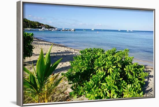 Oualie Beach, Nevis, St. Kitts and Nevis, Leeward Islands, West Indies, Caribbean, Central America-Robert Harding-Framed Photographic Print